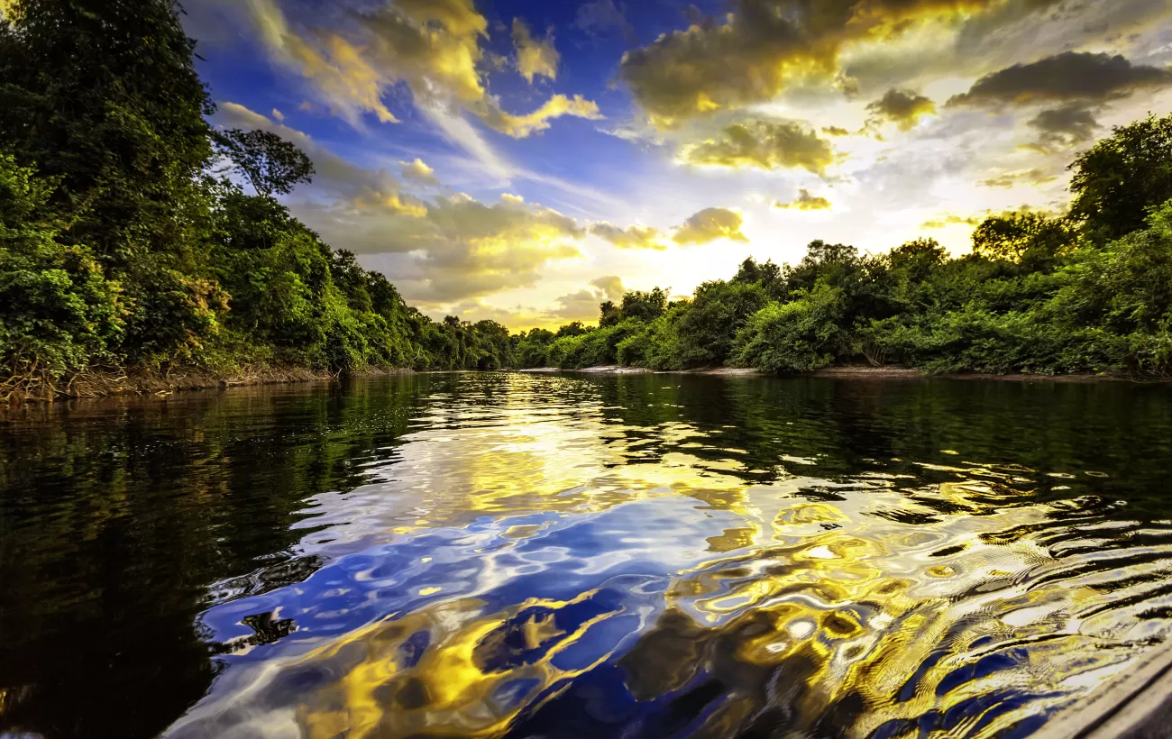 Amazon Rainforest Yachting Cruising The Worlds Largest Tropical Rainforest. Amazon Rainforest Yachting Cruising The Worlds Largest Tropical Rainforest.