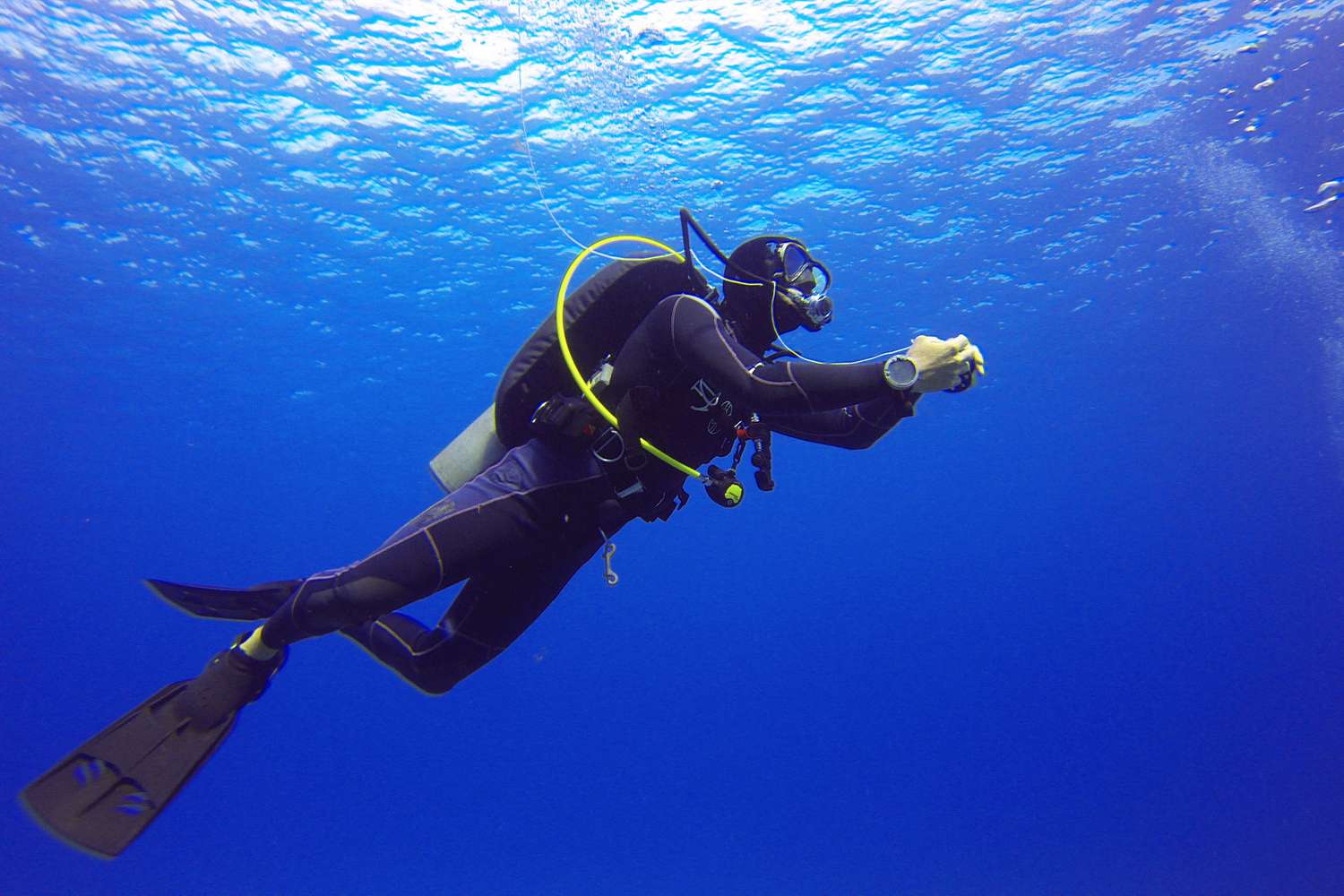 Can I Fish Or Dive During The Charter?